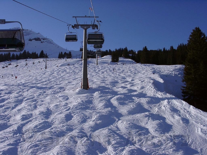 Images/021 lech19.jpg